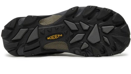 keen-1029399_2