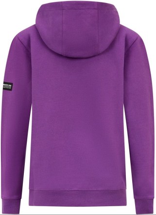Dětská mikina Mercedes Jr Mapf1 FW Lewis Hamilton Hoody Purple_2