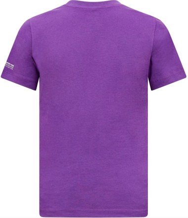 Dětské tričko Mercedes Jr Mapf1 FW Lewis Hamilton Logo T-Shirt Purple_2